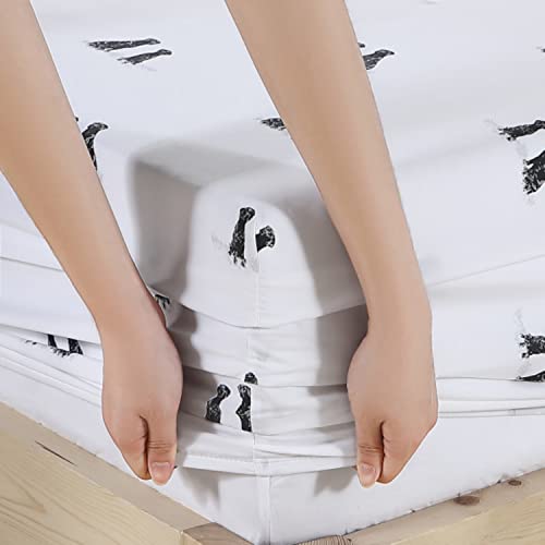 Image of Eddie Bauer - Twin Sheet Set with Fitted Sheet & Pillowcase, 100% Cotton Percale Bedding, Crisp & Cool, Dorm Room Essentials, Labrador Fields White