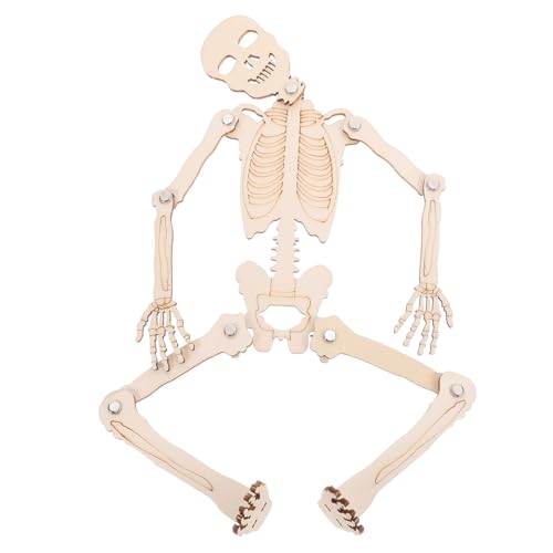 NOLITOY �l�̍��i�͌^diy�Z�b�g �q�ǂ���������l�� �t�B�M���A���狳�� �����Ȋw�W���p �m��w�K�p���i�g�����f��