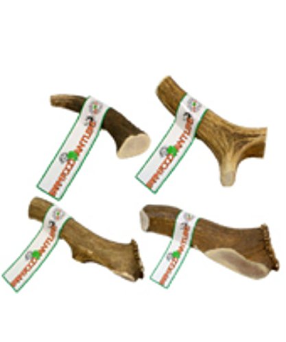 Stag Bar for dogs Size Small Bones