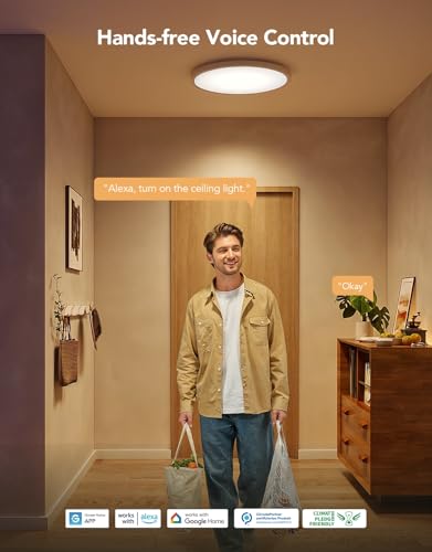 Smart Ceiling Light with Music Speaker