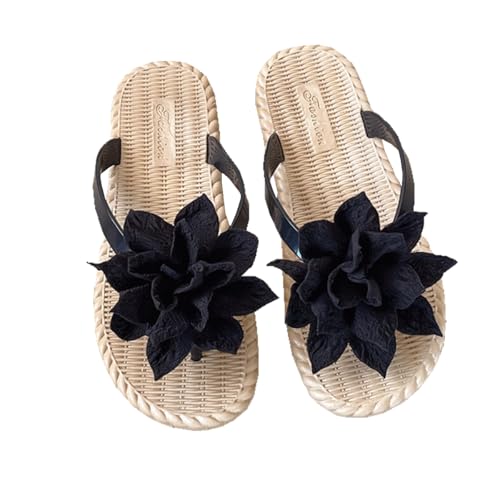 [TTRNJY] r[`T_ fB[X ~ [q[ 2cm {   gOT_ r[` tbg\[  킢 r yʃr[`T_ RtH[gT_ (ubN2, l, 23.5 cm, E