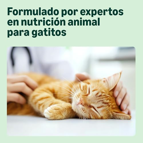 Miniatura 3 de by Amazon Alimento seco para Gatitos con Pollo Fresco, Receta sin Cereales, 3 kg (Paquete de 1) (Anteriormente una Marca Lifelong, el Mismo Producto)
