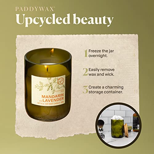 Paddywax Eco Green Collection Scented Candle, 8-Ounce, Mandarin & Lavender #TOP4
