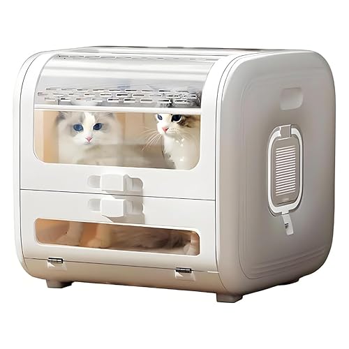 Asciugacapelli per animali domestici con controllo della temperatura, circolazione dell'aria a 360°, 6 impostazioni di velocità e timer per animali domestici fino a 20 kg