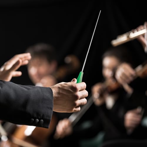 Hordion 15\" Music Conducting Baton, Imitation Agate Handle Conductor Baton with Tube Case for Choral Symphony Concert(Green Handle)