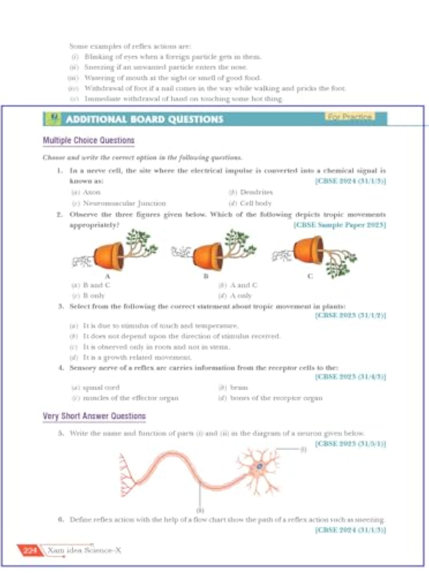 Xam idea Science Class 10 Book CBSE