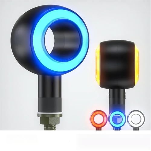 Iluminación automotriz con luz trasera de giro e intermitentes 12V de destello 2