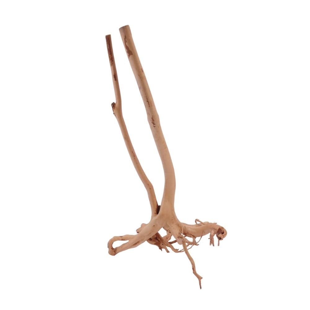 AquaOne Stump radice n. 8907 - Decorazione per acquario, radice in legno, decorazione per acquario, paesaggio, mangrove, moorkie, muschio, naturale, vero legno