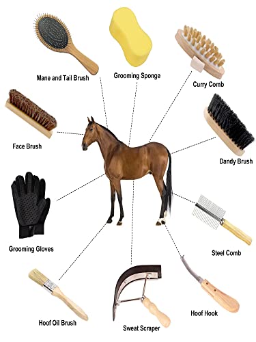 Ueemph Horse Grooming Kit ,10-Piece, Black Storage Bag,Horse Brushes Set,Horse Sweat Scraper ,Mane Comb,Horse Grooming Gloves,100% Horsehair Brush,Horse Gifts For Girls #TOP1