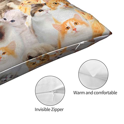 Cat Bed Pillow Pillowcases With Hidden Zipper Decor Lumbar Pillow Case Cushion Queen Size Standard 20X30 In For Hair And Skin Soft Breathable Men Women Rectangular Pillow Cover,For Sofa Couch Bed #TOP3