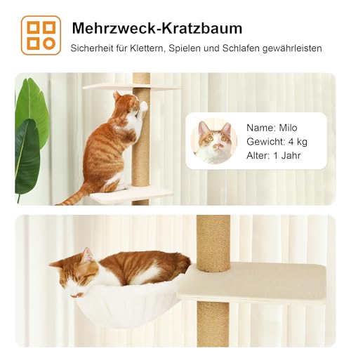 FUKUMARU Kratzbaum, 4 Etagen bis zur Decke reichender Katzenturm(250-274cm), wandmontierter Katzenbaum, aus robuster Multiplexplatte und Jute, mit gemütlicher Hängematte，beige