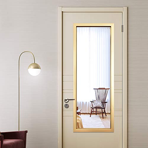 PexFix 44” x 16” Full Length Wall Mirror, Contemporary on The Door Mirror