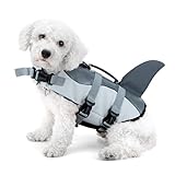 Para adaptarse bien a su mascota, tome una medida de su perro o gato antes de comprar.