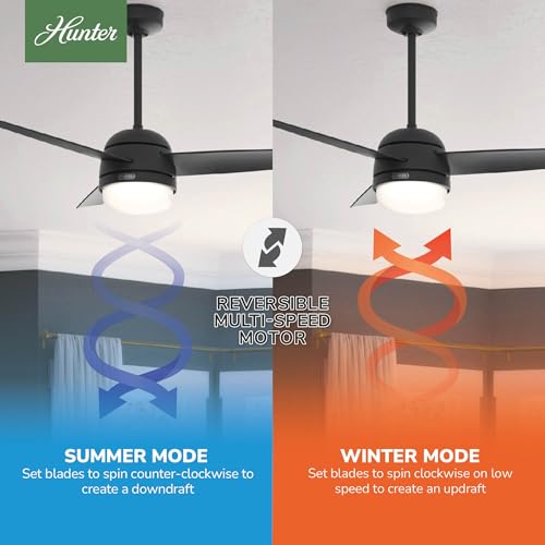 Image of Hunter Midtown, Indoor, Ceiling Fan, Standard Mount, 48 inch, Matte Black