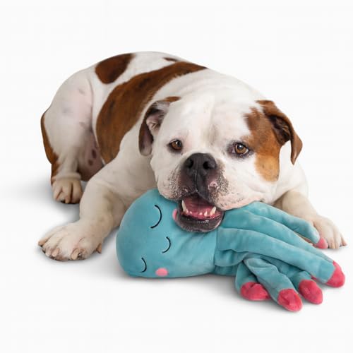 NANDOG My BFF Gus The Octopus Plush Dog Toy – Soft Squeaky