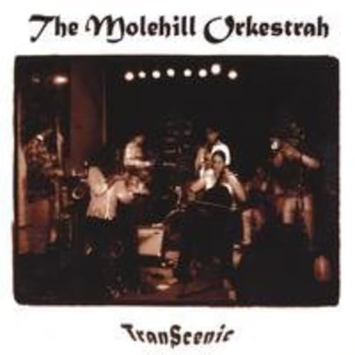 Transcenic [Audio CD] The Molehill Orkestrah