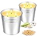 Citronella Kerze Outdoor Gro&szlig;, 2 x 17oz Outdoor Kerzen Nat&uuml;rliche Sojawachs Zitronella Kerze Garten mit 3 Docht Citronella Duft Kerze f&uuml;r Garten, Camping, Picknicks, Balkon, Terrasse,180 Brenndauer