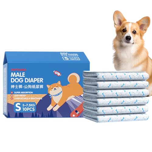 Pañales para Perros | 10 Unidades Pañales Absorbencia Alta | para Entrenamiento Viajes Y Recuperación Postoperatoria