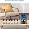 Amazon.com: Oil Diffuser & Essential Oils Set - Oil Diffuser 150ml with ...