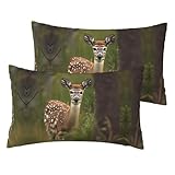 Photo Gallery jiuty whitetail - set di 2 federe in finto lino con cervo e cervo selvatico, dimensioni standard 30,5 x 50,8 cm, federa traspirante per cuscino Photo Gallery jiuty whitetail - set di 2 federe in finto lino con cervo e cervo selvatico, dimensioni standard 30,5 x 50,8 cm, federa traspirante per cuscino