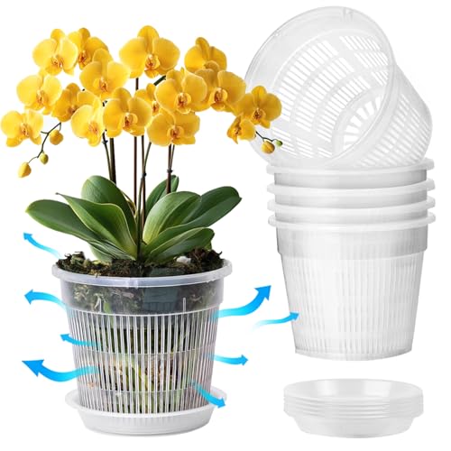 T4U Orchid Pot 6 Pack 14cm Clear Orchid Pots with Holes and Saucers for Repotting Plastic Flower Plant Pot with Drainage for Indoor Outdoor Plants Slotted Orchids Planter for Root Health