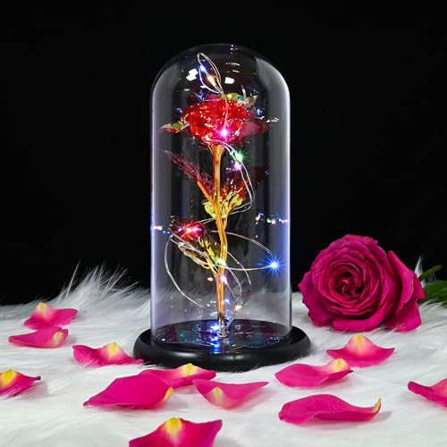 Mothers Day Rose Gifts for Mum Beauty and The Beast Rose Glass Rose Flower is a Unique Gifts for Girlfriend Mom Women Wife on Valentines Day Mothers Day Birthday Anniversaries Christmas