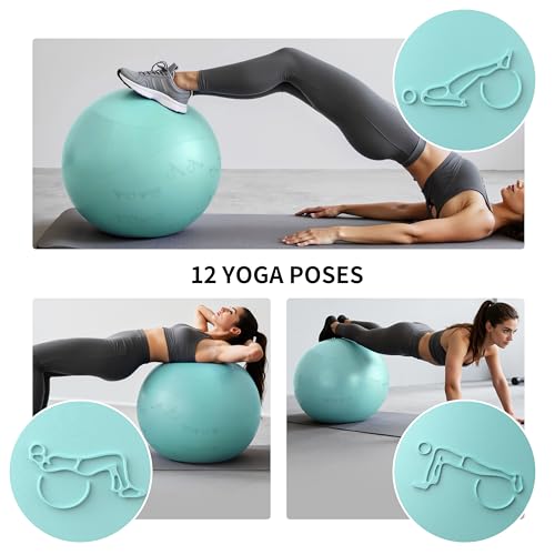 Image of Extra Thick Yoga Ball with Training Instruction, Anti-Burst Slip Resistant Exercise Ball with Pump for Pilates,Physical Therapy,Pregnancy Stability,Birthing Ball 22in 26in 30in
