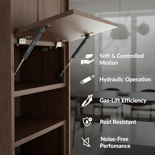 Image of Plantex 10 Inch Hydraulic Gas Spring Stay Strut Pneumatic Lift Support /Cabinet Hinges Support /Capacity 15 KGS (150 N) - Pair of 1 (2 Pcs) (Silver)