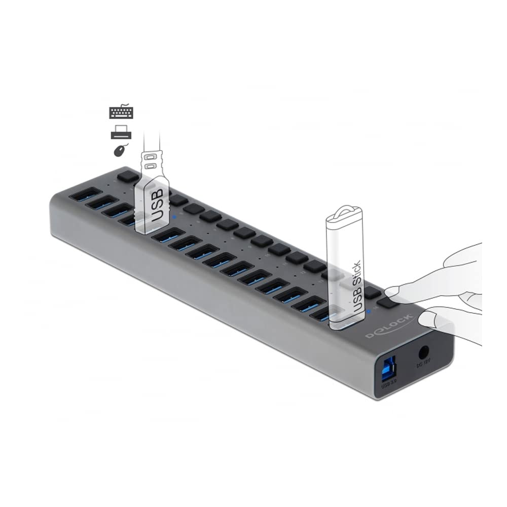 Delock Concentrador USB Externo SuperSpeed con 16 Puertos + Interruptor