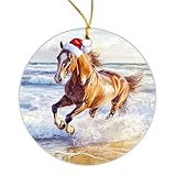 🎄 Souvenir précieux : plus qu'une simple décoration, c'est le choix de Noël parfait pour les amis, la famille ou même les sœurs qui aiment offrir des décorations. Cette fête permettra de conserver tous les moments mémorables et les précieux moments de Noël.