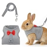 Laisse pour lapin, harnais avec un nœud, laisse souple pour lapin, accessoire pour lapins nains, chats, petits chiens et autres petits animaux