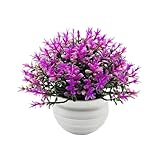 [Amplia aplicación]: Esta exquisita planta artificial en maceta se puede usar decoración de escritorios de oficina, accesorios de fotografía, decoración de habitaciones, decoración de balcones, etc