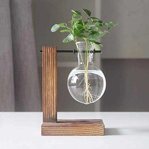 MAGIIN Plant Terrarium Transparent Bulb Vase with Wooden Stand, Desktop Glass Planter for Hydroponics Plants Coffee Shop Room Decor (A)