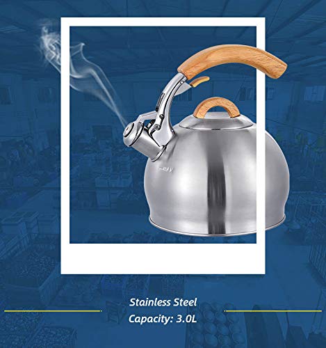 Stainless Tea Kettle ALDEN MAXWELL - Water Kettle For Stovetop - Real Wood Cool Handle Tea Pot For Stove Top - 3 Qt Whistling Water Kettle
