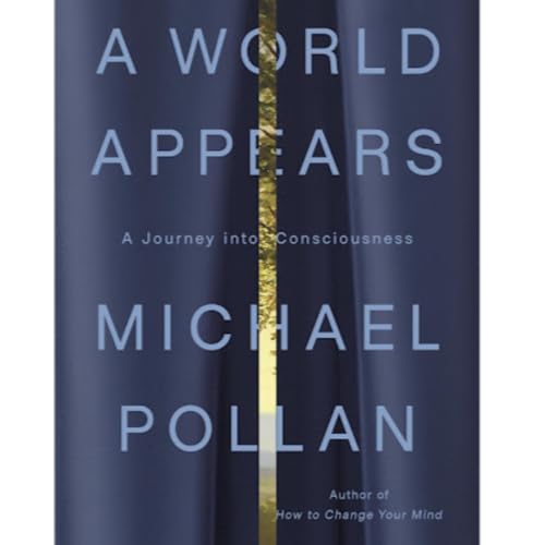 Why brainless plants remember more than flies