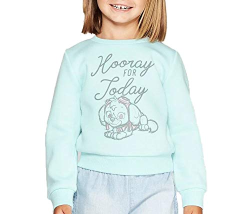 Nickelodeon Moletom confortável para meninas Paw Patrol Skye, Azul menta, 2T