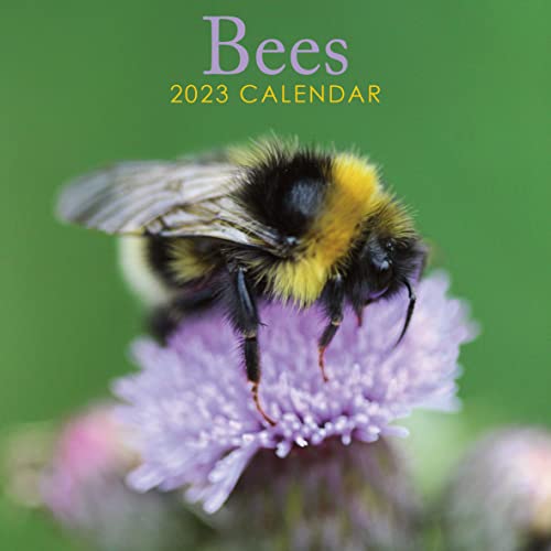 2023 Bees Square Hanging Wall Calendar - No Plastic - 12" X 12" Planner, Bumblebee Honey Bee, Queen Bee, Organizer, Home, Family, Schedule, Agenda, Gift #TOP9