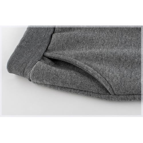 Image of Little Boys Jogger Pants Toddler Boys' Drawstring Elastic Waist Cotton Casual Sweatpants 1PC / 2 PCS Set