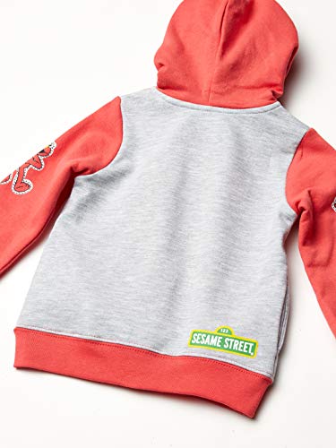 Sesame Street Girls' Toddler Hoodie2