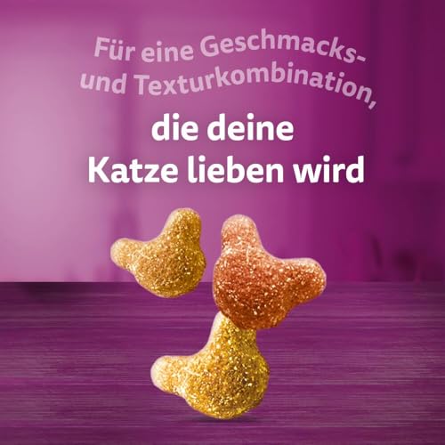 WHISKAS Crunch Katzensnacks Huhn, Pute & Ente 6 x 100g – Leckere Snacks mit Huhn, Pute und Ente
