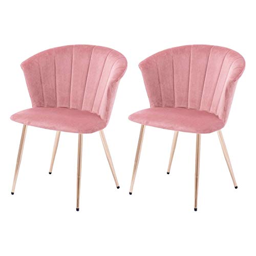 ^X̃Q fXN`FAy2rZbgz ᔽ ݃J[ AWX^[t xxbgn T e 68400006(74082)