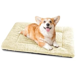 Baodan Hundebett Mittelgroße Kleine Hunde, Hundekissen Waschbar für kleine mittelgroße Hunde, Dog Bed – 75×50 cm Superweich Katzenbett mit Rutschfester Unterseite – Beige