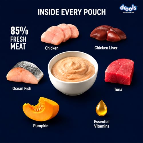 Image of Drools Kitten Wet Mousse 80g | Ocean Fish | High Protein | Promotes Hydration & Easy Digestion | Grain Free | No Artificial Additives | Enriched with Vitamins & Antioxidants