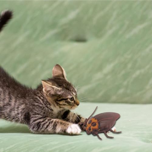 Jouet chat électrique avec détection d'obstacle et train interactif animaux - 7