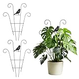 Rankgitter Metall, 2 Stück Rankhilfe Zimmerpflanzen Rankgitter für Kletterpflanzen Pflanzenstütze Metall Pflanzen Rankhilfe Rankhilfe für Kletterpflanzen Gartenspalier für Tomaten Blumen, 30*40cm (B)