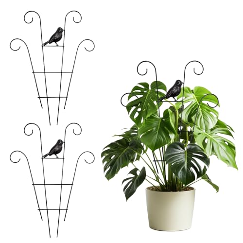 Rankgitter Metall, 2 Stück Rankhilfe Zimmerpflanzen Rankgitter für Kletterpflanzen Pflanzenstütze Metall Pflanzen Rankhilfe Rankhilfe für Kletterpflanzen Gartenspalier für Tomaten Blumen, 30*40cm (B)