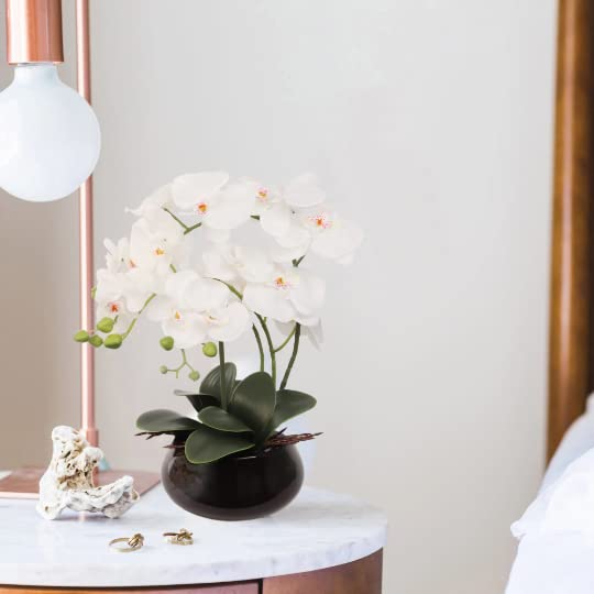 18" Phalaenopsis Orchid Flowers in Black Ceramic Vase | Real Touch White Silk Flowers | Realistic Orchid Arrangements | Home & Office Decor