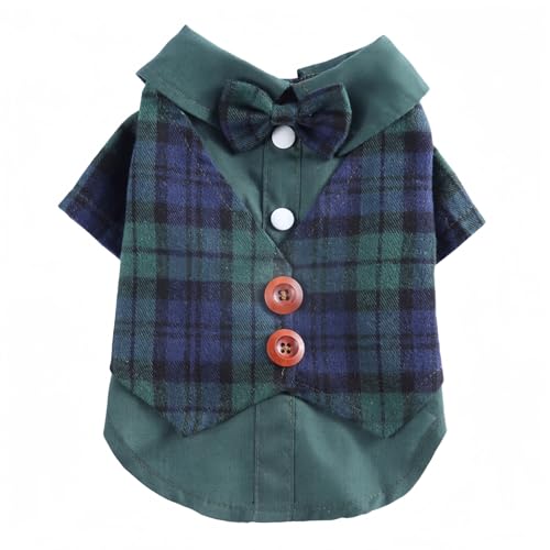 ���ƔL�̗����ɓK�������l�N�^�C�t���̃y�b�g�p�E�F�f�B���O�W���P�b�g�A���ɏ��^���p�̃X�g���C�v���t�H�[�}���V���c�B (Large�F�����̏d�F6�`7.5kg,B)