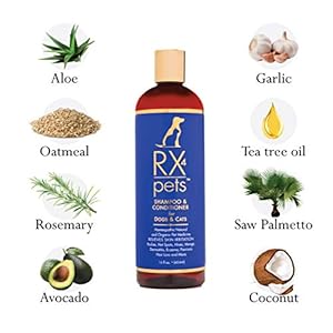 RX4-Dog-Cat-Shampoo-Conditioner-Naturally-Organic-Oatmeal-Aloe-Puppy-Treatment-Supplies-Relief-for-Smelly-Pets-Dry-Itchy-Skin-No-More-Scratching16oz - Cucciolini Doodles   RX4-Dog-Cat-Shampoo-Conditioner-Naturally-Organic-Oatmeal-Aloe-Puppy-Treatment-Supplies-Relief-for-Smelly-Pets-Dry-Itchy-Skin-No-More-Scratching16oz