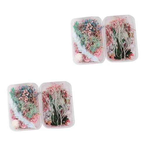 Alipis 4 Caixas Flores secas de aromaterapia pétalas de flores secas decoração de flores decoração e